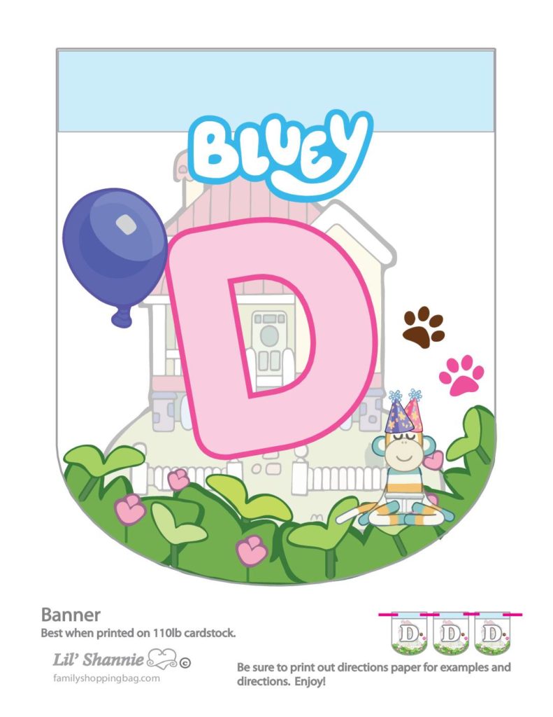 Banner D Bluey  pdf