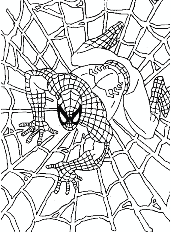 Spiderman Crawling Coloring Pages