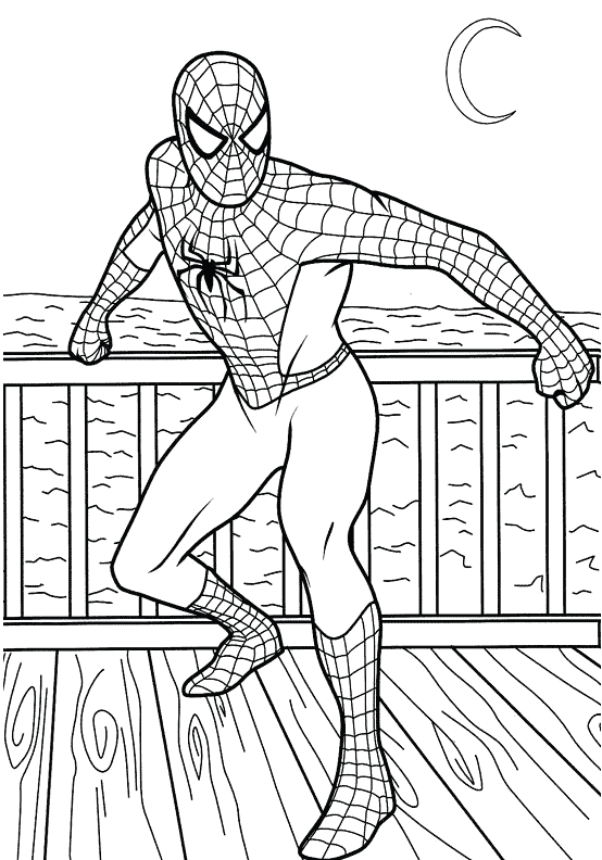 Spiderman Standing Coloring Pages
