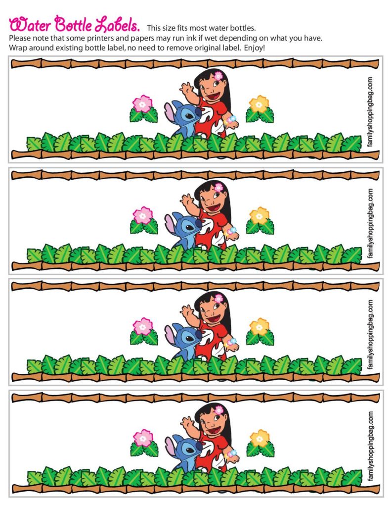 Water Bottle Lilo and Stitch  pdf