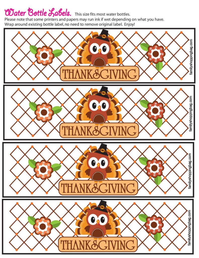 Water Bottle Thanksgiving  pdf
